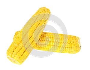 Ripe Yellow Corn Isolated on White