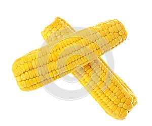 Ripe Yellow Corn Isolated on White