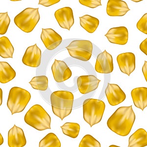Ripe Yellow Corn Seed Seamless Pattern