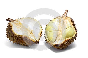 Ripe yellow flesh of Durian cut in half on white background.