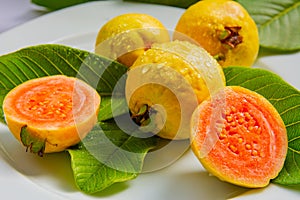 Ripe yellow fruits and leaves of guava on a white background
