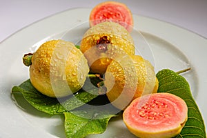 Ripe yellow fruits and leaves of guava on a white background