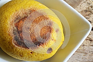 RIPE YELLOW LEMON WITH LARGE LESION PORTRAYING SPOILAGE