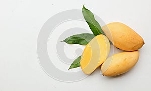 ripe yellow mango golden ,mango nam dok mai ( mangifera indica) king of fruit with leaves isolated on a white