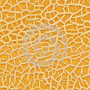 Ripe yellow melon texture backdrop. melon. seamless texture