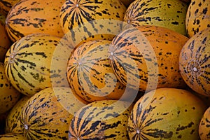 Ripe yellow melons at open air market in Turkey