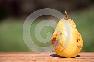 Ripe yellow pear wooden board outdoors