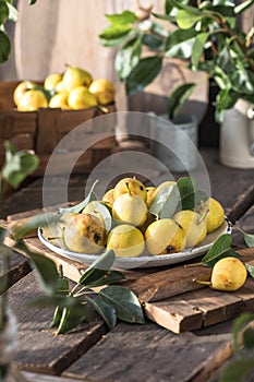 Ripe yellow pears in a plate on wooden background