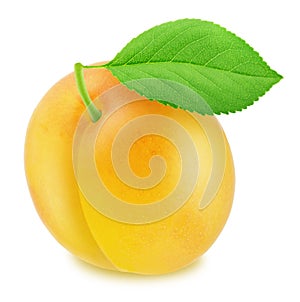 Ripe yellow plum with green leaf. With clipping path