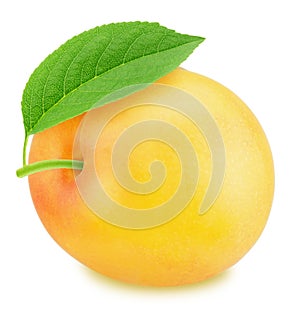 Ripe yellow plum with green leaf. With clipping path