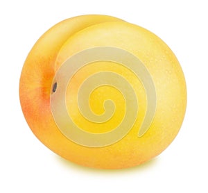 Ripe yellow plum isolated