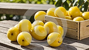 Ripe yellow plums in a box on wooden table, against blurred background of summer or autumn garden. Fresh natural organic fruits.