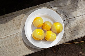 Ripe yellow plums on plate. Juicy fruit on wooden background, closeup. Fresh plum, vegetarian food