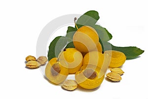 Ripe yellow plums on a white background. Sectional halves, leaves and seeds.