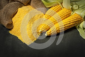 Ripe young sweet corn cob and cornmeal