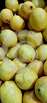 Riped Juicy Lemons