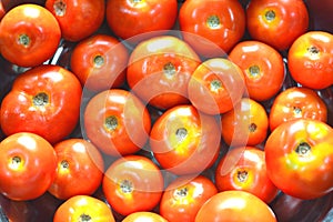 Riped red tomatoes