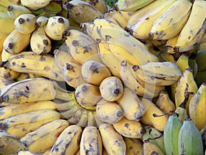 Ripen bananas