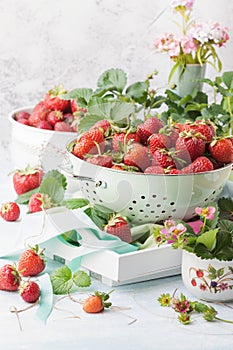Ripen fresh strawberries in light green color metal colander on table with strawberries and leaves around in white background