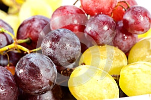 Ripen grapes photo