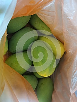 Ripen mango inside the plasric bag