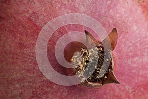 Ripen pomegranate close up skin texture photo