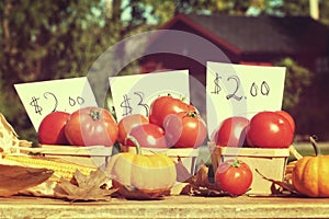 Ripened tomatoes for sale at roadside stand