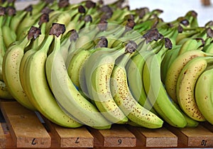 Ripening Bananas