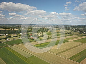 Ripening grain harvest in wheat fields from a bird`s eye view. Mechanization of agricultural labor. The farm is a source of food.