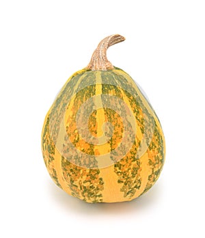 Ripening green and yellow ornamental gourd, turning orange