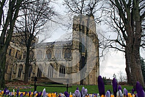 Ripon Cathedral