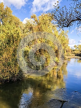 RiPon River and Magial Trees