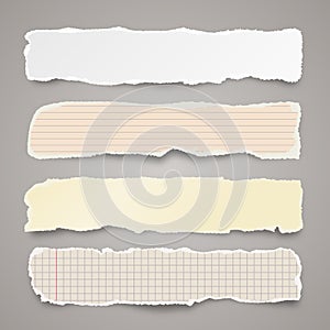 Ripped colored paper strips. Realistic crumpled paper scraps with torn edges. Lined shreds of notebook pages. Vector