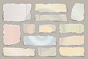 Ripped colorful paper strips. Realistic crumpled paper scraps with torn edges. Lined shreds of notebook pages. Vector