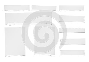 Ripped horizontal and vertical note, notebook, paper strips, sheets for text or message stuck on white background.