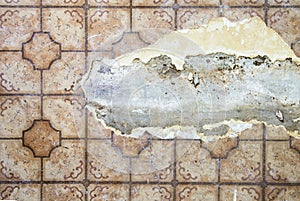 Ripped Linoleum Floor