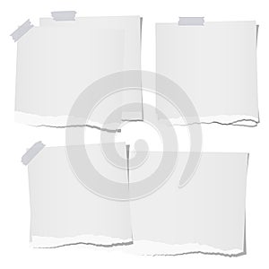 Ripped, note, notebook paper sheets for text or message stuck with sticky tape on white background.