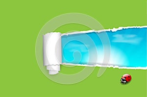 Ripped paper background with sky and ladybug