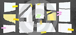 Ripped paper sheet fragments