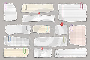 Ripped paper strips with clips. Realistic crumpled paper scraps with torn edges. Lined shreds of notebook pages. Vector