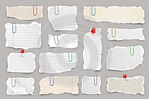 Ripped paper strips with clips. Realistic crumpled paper scraps with torn edges. Lined shreds of notebook pages. Vector