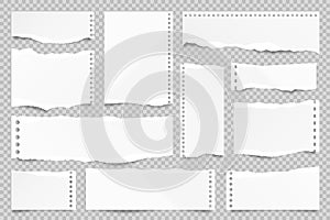 Ripped paper strips isolated on transparent background. Realistic paper scraps with torn edges. Sticky notes, shreds of