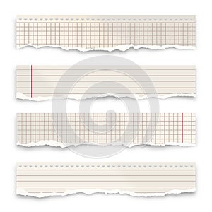 Ripped paper strips isolated on white background. Realistic crumpled paper scraps with torn edges. Lined shreds of