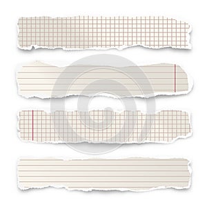 Ripped paper strips isolated on white background. Realistic crumpled paper scraps with torn edges. Lined shreds of