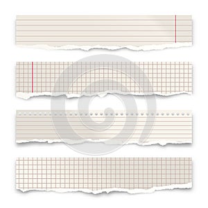 Ripped paper strips isolated on white background. Realistic crumpled paper scraps with torn edges. Lined shreds of