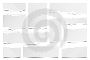 Ripped paper strips isolated on white background. Realistic paper scraps with torn edges. Sticky notes, shreds of