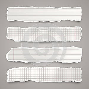 Ripped paper strips. Realistic crumpled paper scraps with torn edges. Lined shreds of notebook pages. Vector