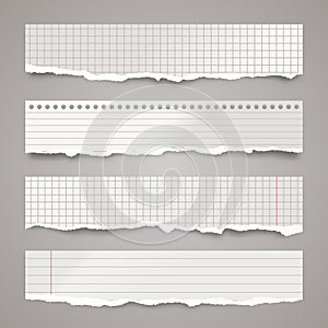 Ripped paper strips. Realistic crumpled paper scraps with torn edges. Lined shreds of notebook pages. Vector