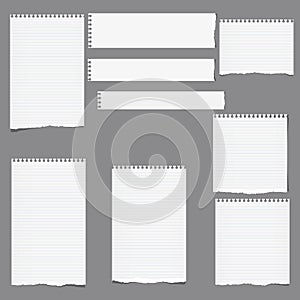 Ripped ruled note, notebook, copybook vertical and horizontal paper strips, sheets grey background.