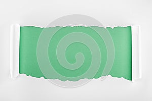 Ripped textured white paper with curl edges on light green background.